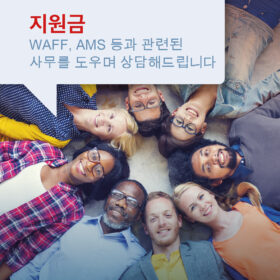 IKI_Kurse_KO_170120236_zuschuss